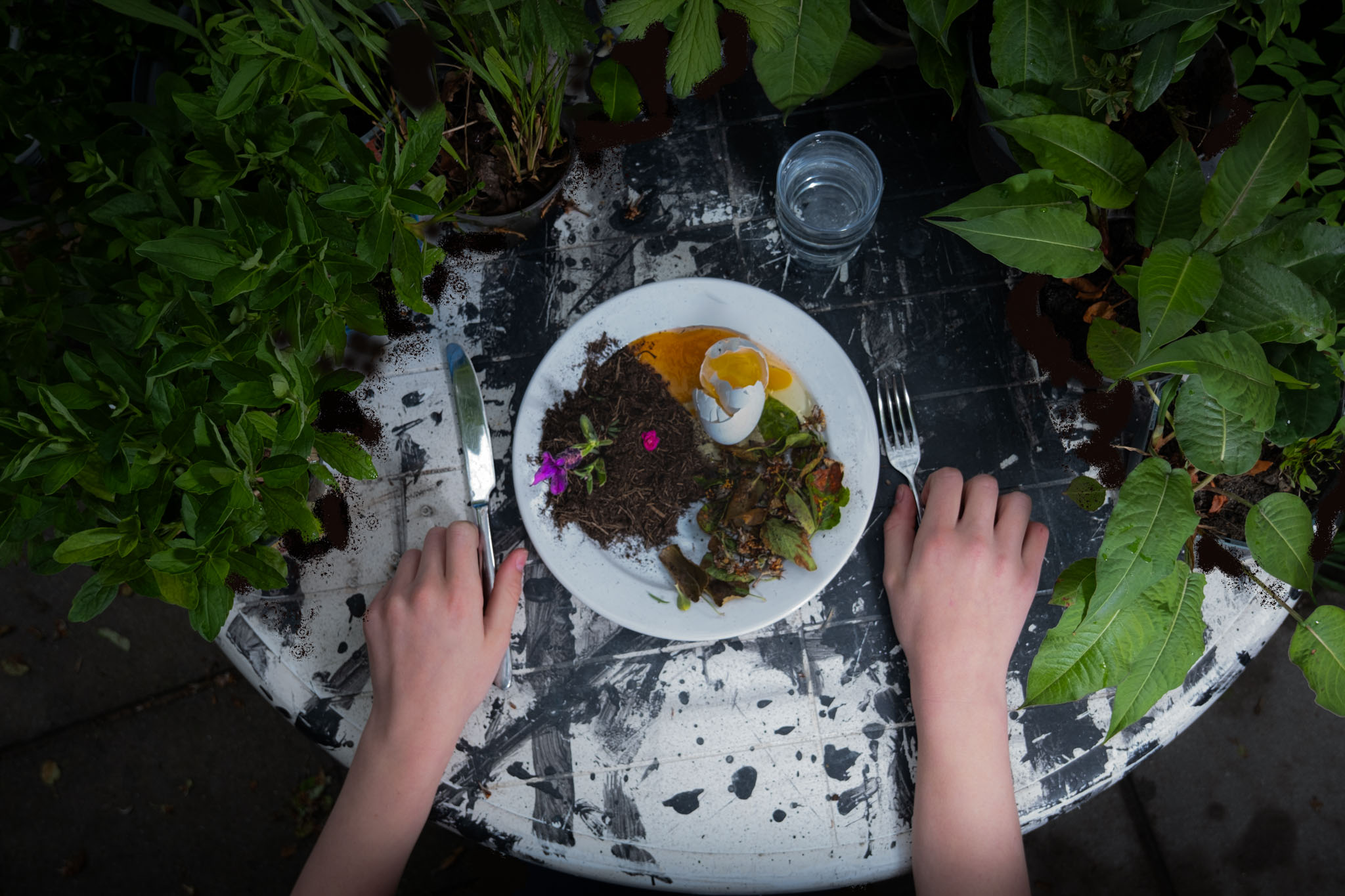 Bovenaanzicht van een gedekte tafel tussen groene planten